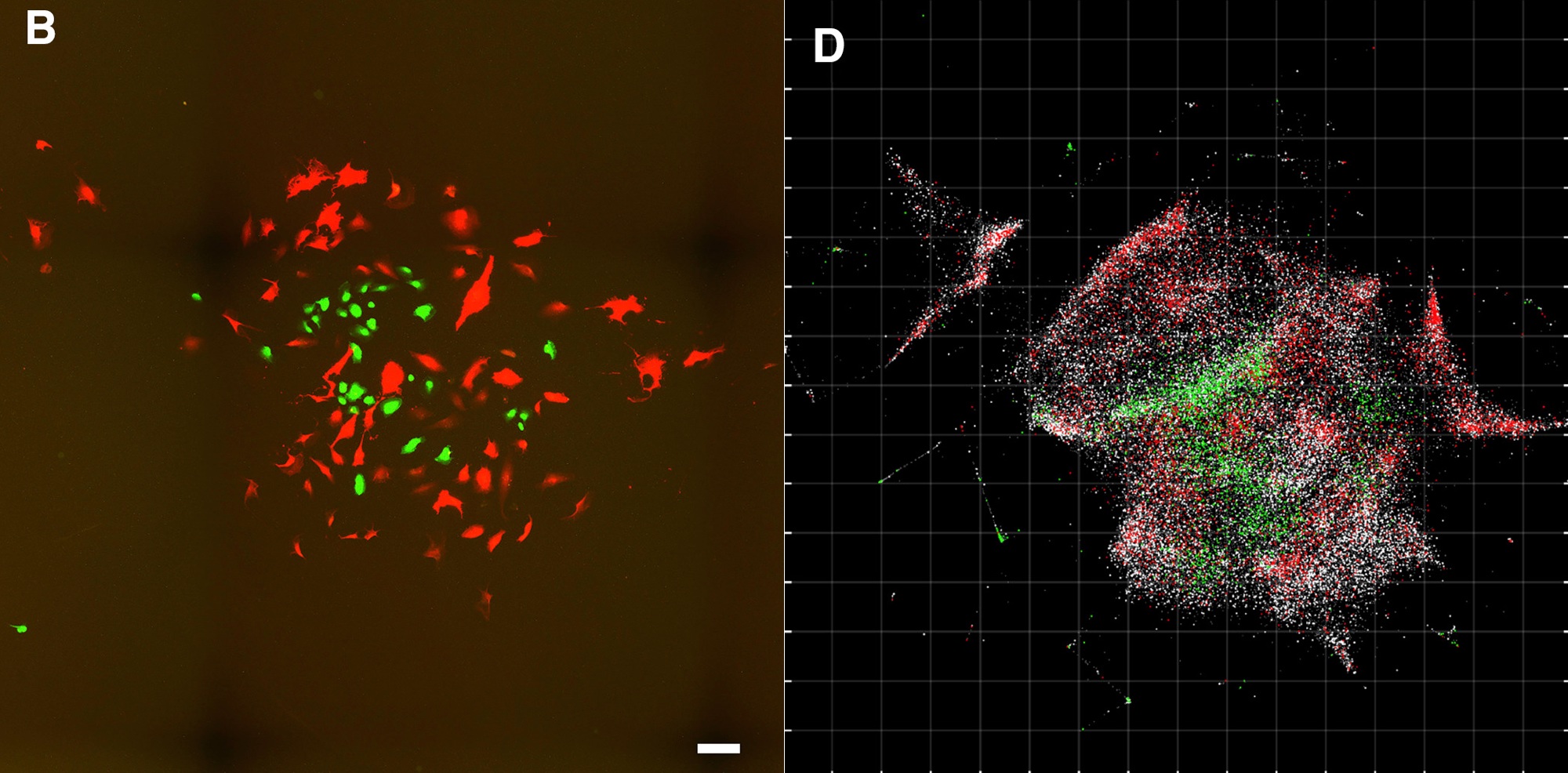Définition Microscope à contraste de phase — free download